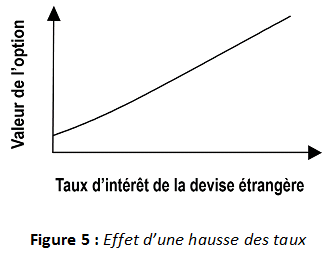 79-option-5